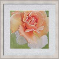 Beachy framed and matted floral print by Sharon Bignell Fine Art