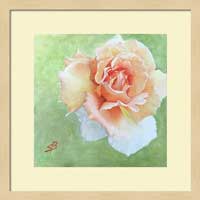 Floral matted and framed print by Sharon Bignell Fine Art