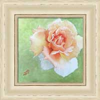 Floral shabby chic framed print by Sharon Bignell Fine Art