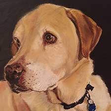 Yellow Lab Pet Portrait by Sharon Bignell