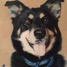 8" x 10" Oil on canvas SOLD "Khona" Commissioned dog portrait by Sharon Bignell