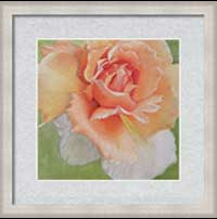 Beachy framed and matted floral print by Sharon Bignell Fine Art
