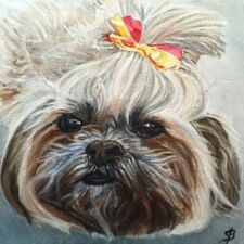 8" x 8" Oil on canvas Private Collection "Blondie" dog portrait by Sharon Bignell