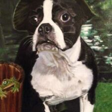 12" x 14" Oil on canvas SOLD "Boston Terrier with Frog" Commissioned dog portrait by Sharon Bignell