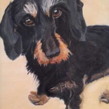 8" x 10" Oil on canvas SOLD "Dachshund" Commissioned dog portrait by Sharon Bignell