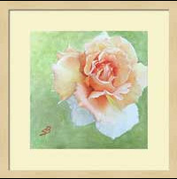 Floral matted and framed print by Sharon Bignell Fine Art