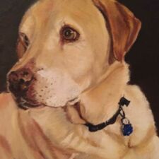 8" x 10" Oil on canvas SOLD "Lab" Commissioned dog portrait by Sharon Bignell